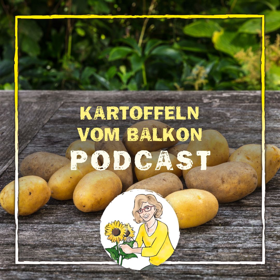 Kartoffeln vom Balkon Kartoffeln vom Balkon