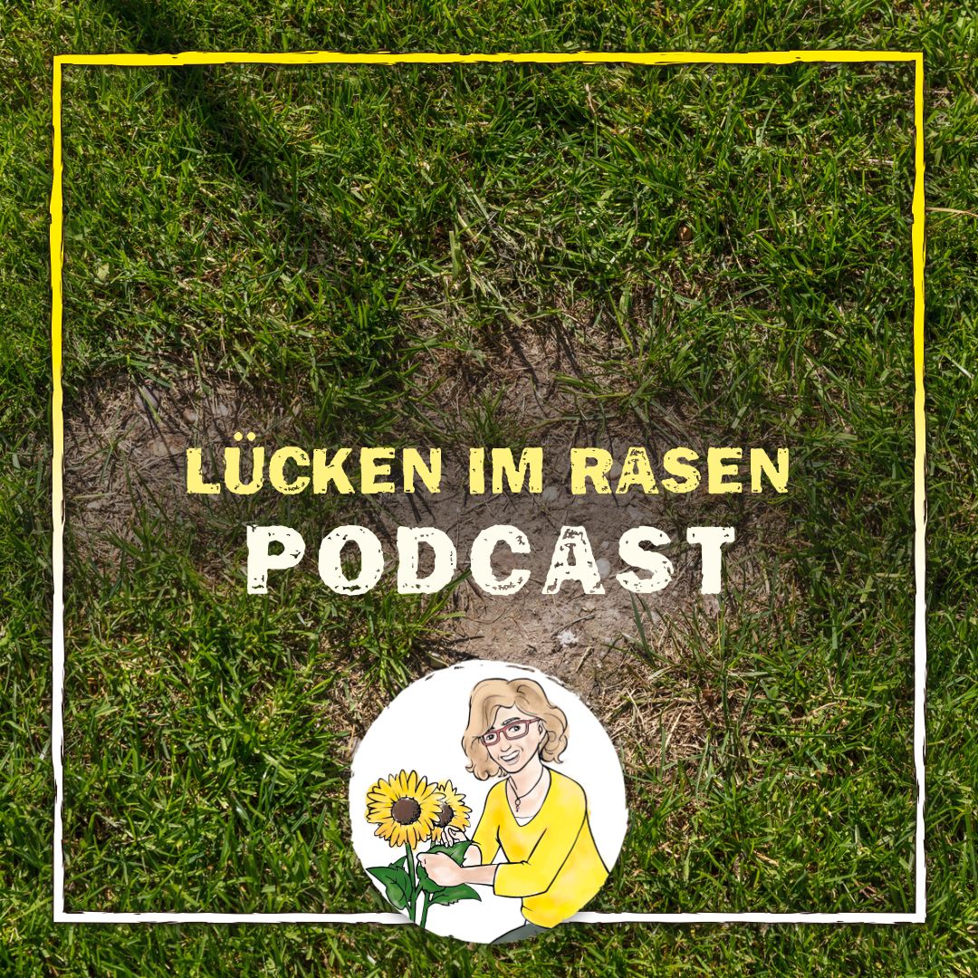 Lücken im Rasen Lücken im Rasen
