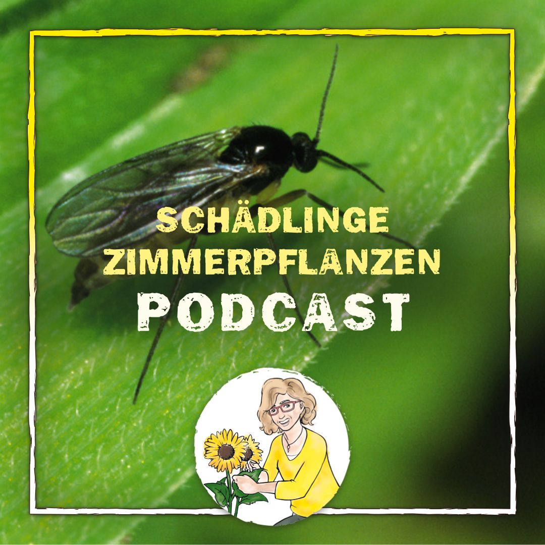 Podcast Schädlinge Podcast Schädlinge