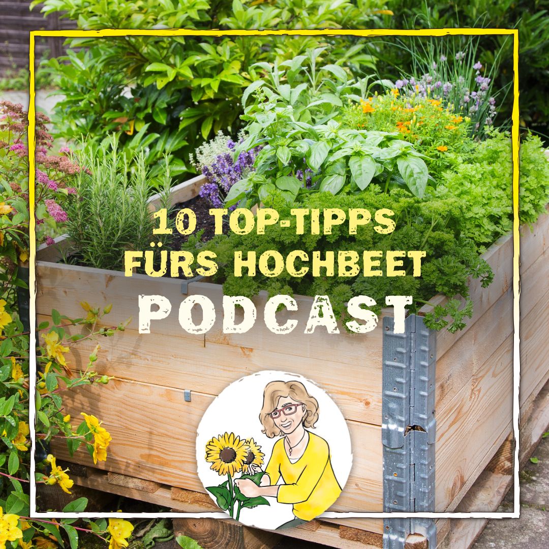 Podacst Hochbeet Podacst Hochbeet