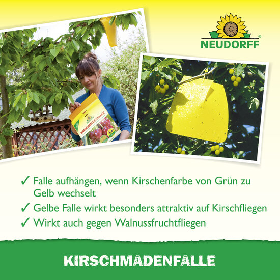 KirschmadenFalle Sprechende Bilder Bild 4