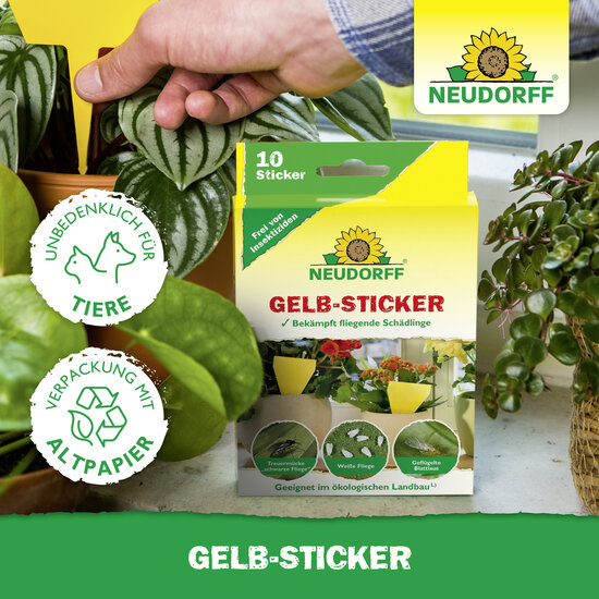 Gelb-Sticker Sprechende Bilder Bild 5 Gelb-Sticker Sprechende Bilder Bild 5
