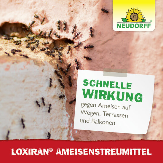 Loxiran AmeisenStreumittel Sprechende Bilder Bild 6