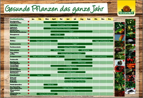 Gesunde Pflanzen das ganze Jahr