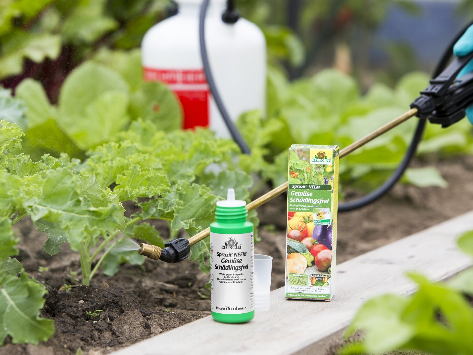 Spruzit NEEM GemüseSchädlingsfrei Spruzit NEEM GemüseSchädlingsfrei
