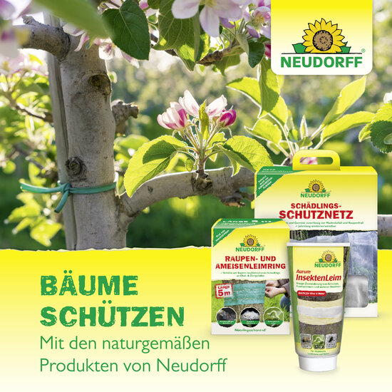 Baumanstrich Sprechende Bilder Letztes Bild