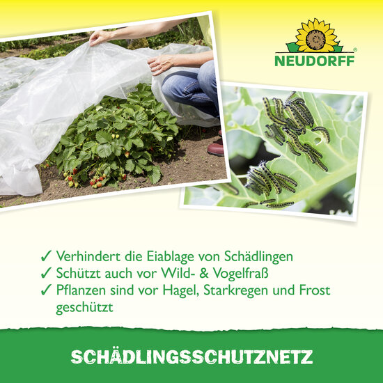 SchädlingsschutzNetz Sprechende Bilder Bild 4