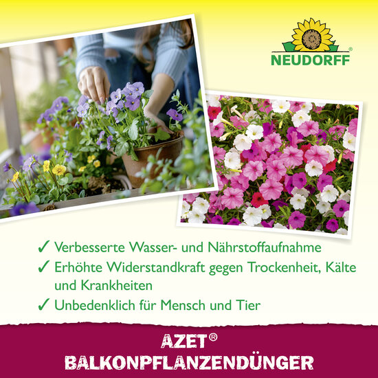 Azet BalkonpflanzenDünger flüssig Sprechende Bilder Bild 4 Azet BalkonpflanzenDünger flüssig Sprechende Bilder Bild 4