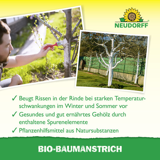 Baumanstrich Sprechende Bilder Bild 4