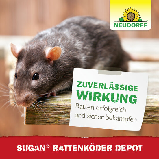 Sugan RattenKöder Depot Sprechende Bilder Bild 6 Sugan RattenKöder Depot Sprechende Bilder Bild 6