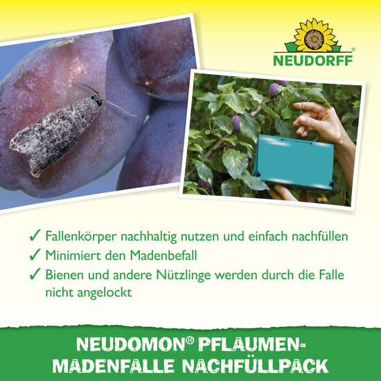 Neudomon PflaumenmadenFalle Nachfüllpack Sprechende Bilder Bild 4 Neudomon PflaumenmadenFalle Nachfüllpack Sprechende Bilder Bild 4