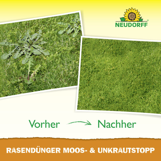 RasenDünger Moos- & UnkrautStopp Sprechende Bilder Bild 6 RasenDünger Moos- & UnkrautStopp Sprechende Bilder Bild 6