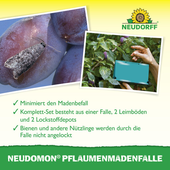 Neudomon PflaumenmadenFalle Sprechende Bilder Bild 4