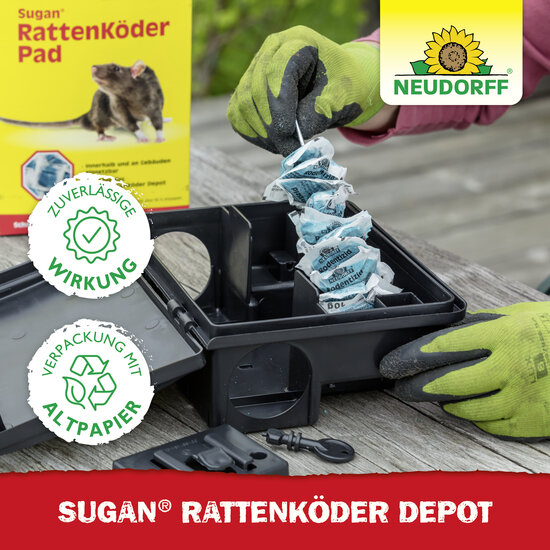 Sugan RattenKöder Depot Sprechende Bilder Bild 5 Sugan RattenKöder Depot Sprechende Bilder Bild 5