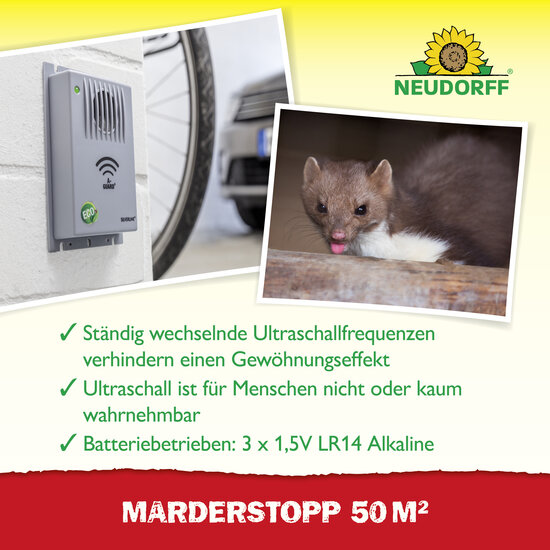 MarderStopp 50m2 Sprechende Bilder Bild 4