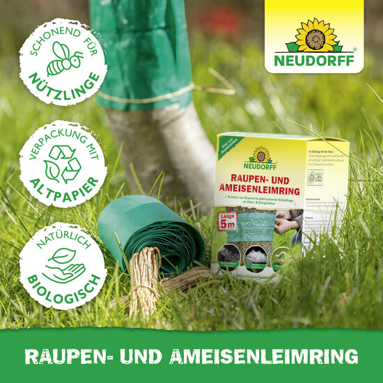 Raupen- und AmeisenLeimring Sprechende Bilder Bild 5