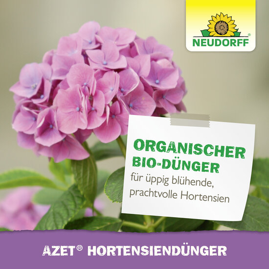 Azet HortensienDünger flüssig Sprechende Bilder Bild 7 Azet HortensienDünger flüssig Sprechende Bilder Bild 7