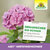 Azet HortensienDünger flüssig Sprechende Bilder Bild 7 Azet HortensienDünger flüssig Sprechende Bilder Bild 7