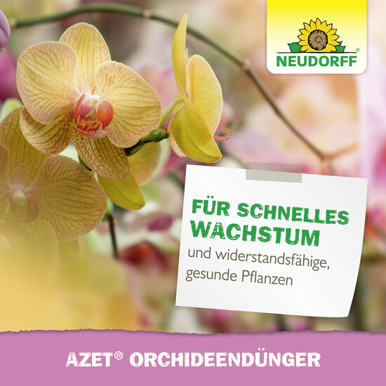 Azet OrchideenDünger flüssig Sprechende Bilder Bild 6