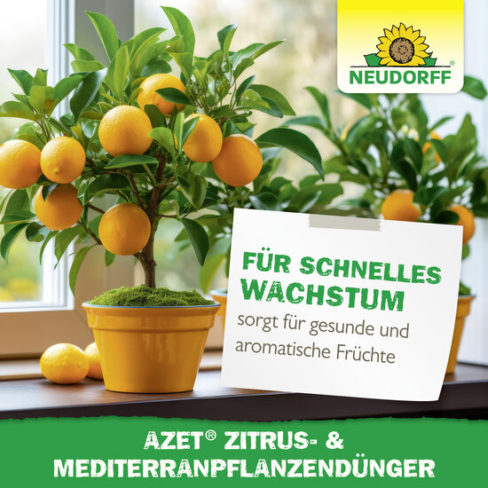 Azet Zitrus- & MediterranpflanzenDünger Sprechende Bilder Bild 7