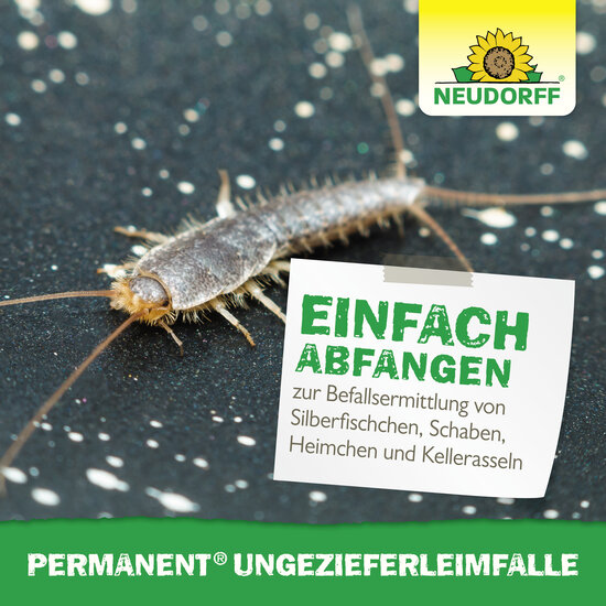 Permanent UngezieferLeimFalle Sprechende Bilder Bild 6 Permanent UngezieferLeimFalle Sprechende Bilder Bild 6