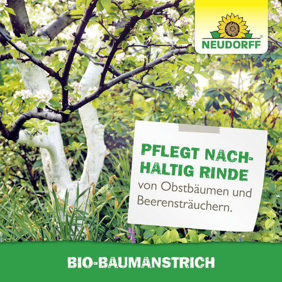 Baumanstrich Sprechende Bilder Bild 6