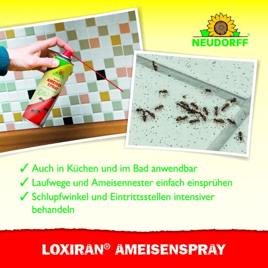 Loxiran Ameisenspray Sprechende Bilder Bild 4