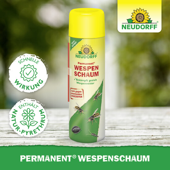 Permanent WespenSchaum Sprechende Bilder Bild 5 Permanent WespenSchaum Sprechende Bilder Bild 5