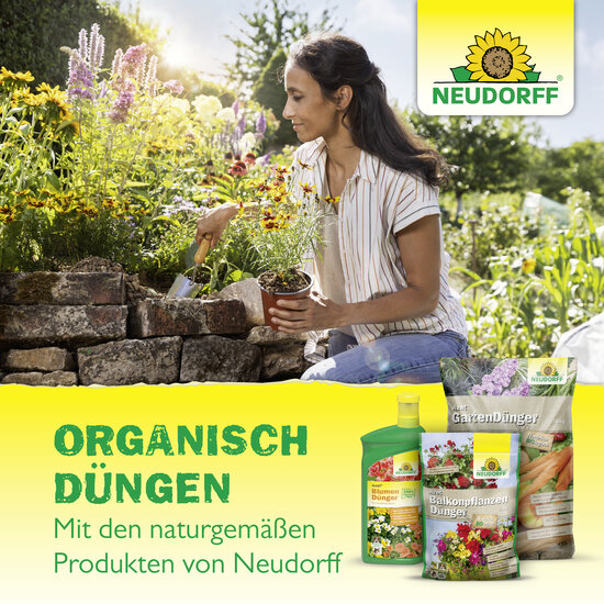Azet RosenDünger Sprechende Bilder Letzte_Seite Azet RosenDünger Sprechende Bilder Letzte_Seite