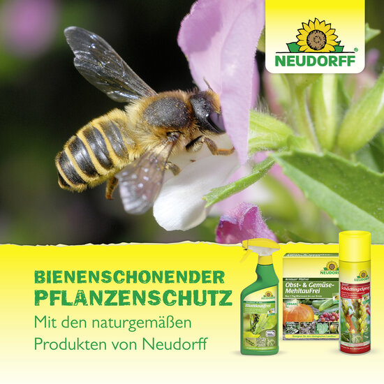 Neudo-Vital AF Rosen-Spritzmittel Sprechende Bilder Bild 7