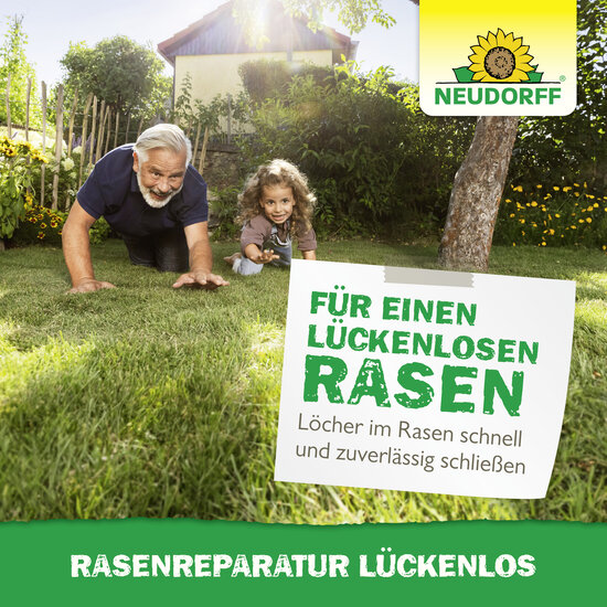 Rasenreparatur LückenLos Sprechende Bilder Bild 7