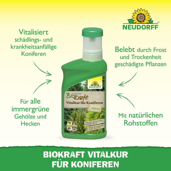 Neudorff BioKraft Vitalkur für Koniferen Sprechende Bilder Bild 2