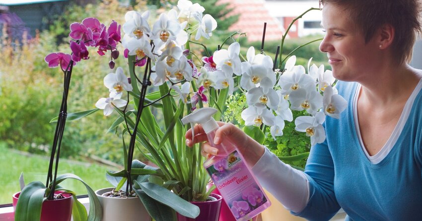 Pflanzenstärkungsmittel