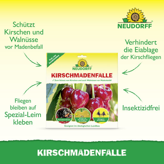 KirschmadenFalle Sprechende Bilder Bild 2