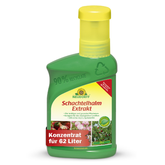 Schachtelhalm Extrakt Sprechende Bilder Bild 1