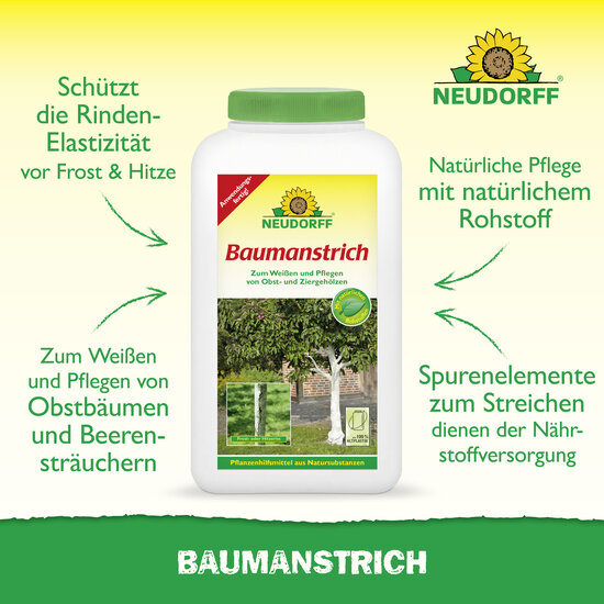 Baumanstrich Sprechende Bilder Bild 2