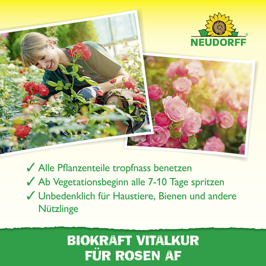 Neudorff BioKraft Vitalkur für Rosen Sprechende Bilder Bild 4