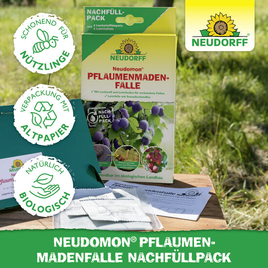Neudomon PflaumenmadenFalle Nachfüllpack Sprechende Bilder Bild 5 Neudomon PflaumenmadenFalle Nachfüllpack Sprechende Bilder Bild 5