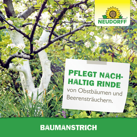 Baumanstrich Sprechende Bilder Bild 6