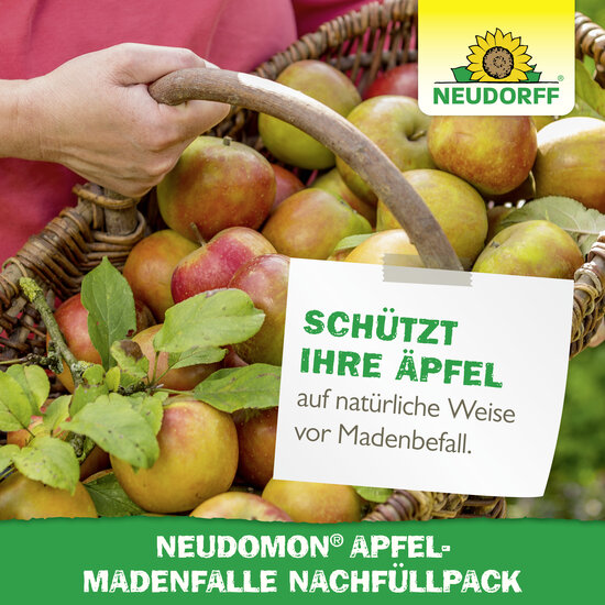 Neudomon ApfelmadenFalle Nachfüllpack Sprechende Bilder Bild 6 Neudomon ApfelmadenFalle Nachfüllpack Sprechende Bilder Bild 6