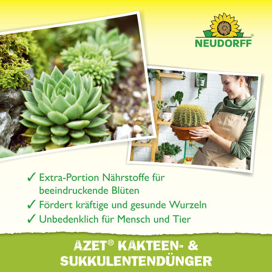 Azet Kakteen- & SukkulentenDünger flüssig Sprechende Bilder Bild 4