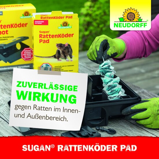 Sugan RattenKöder Pad Sprechende Bilder Bild 6 Sugan RattenKöder Pad Sprechende Bilder Bild 6