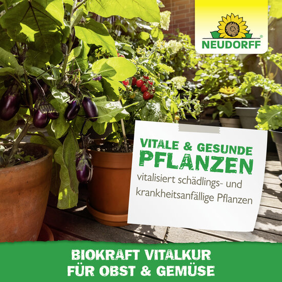 Neudorff BioKraft Vitalkur für Obst & Gemüse Sprechende Bilder Bild 6