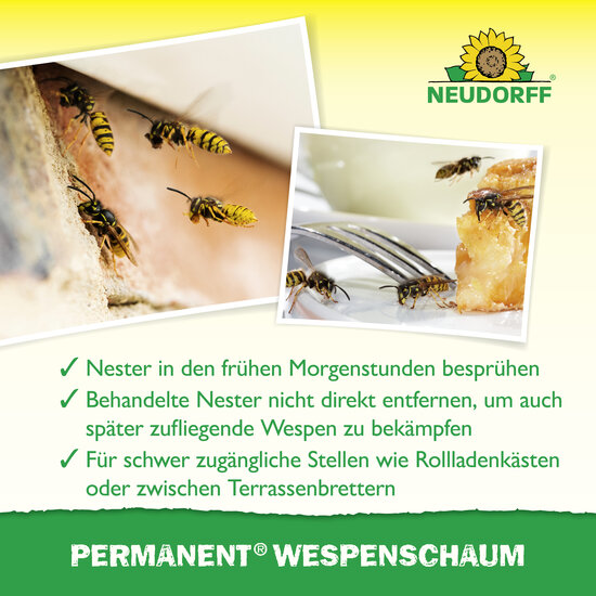 Permanent WespenSchaum Sprechende Bilder Bild 4 Permanent WespenSchaum Sprechende Bilder Bild 4