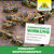 Permanent WespenTURBOSpray Sprechende Bilder Bild 6