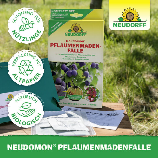 Neudomon PflaumenmadenFalle Sprechende Bilder Bild 5