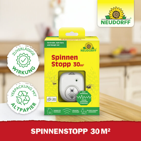 SpinnenStopp 30m2 Sprechende Bilder Bild 5