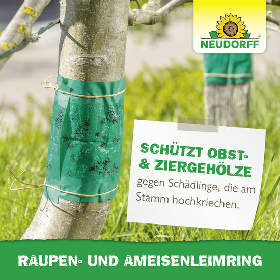 Raupen- und AmeisenLeimring Sprechende Bilder Bild 6