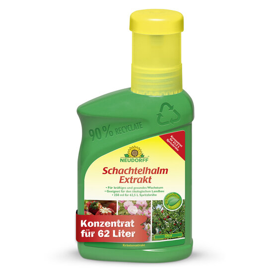 Schachtelhalm Extrakt Sprechende Bilder Bild 1