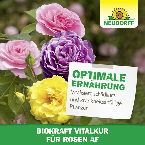 Neudorff BioKraft Vitalkur für Rosen Sprechende Bilder Bild 6